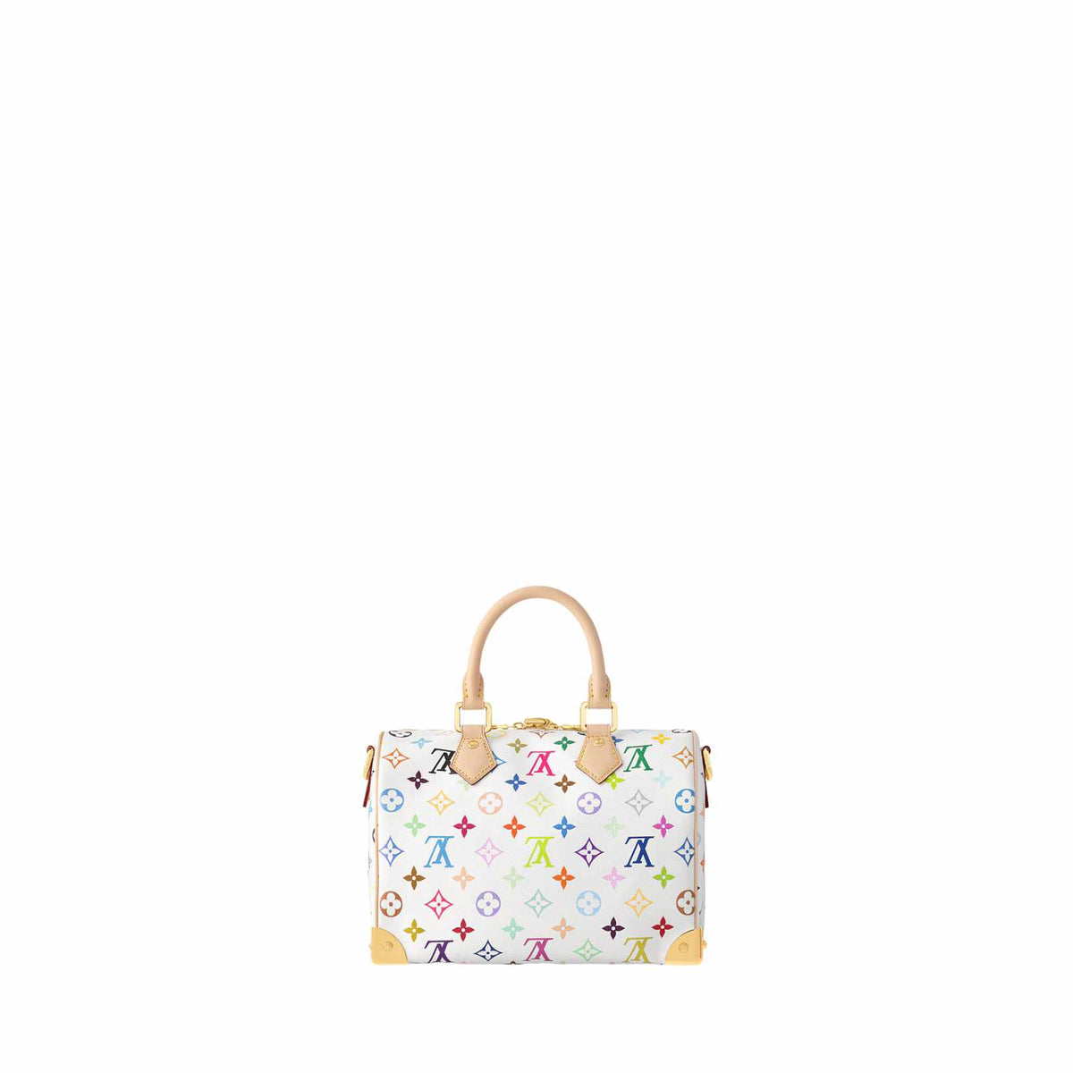 Louis Vuitton Speedy 25 Bag