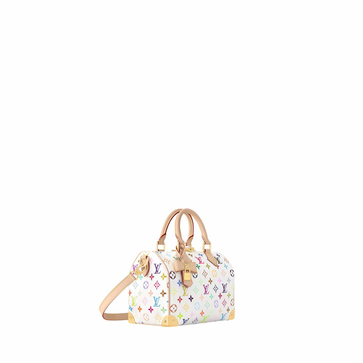 Louis Vuitton Speedy 25 Bag