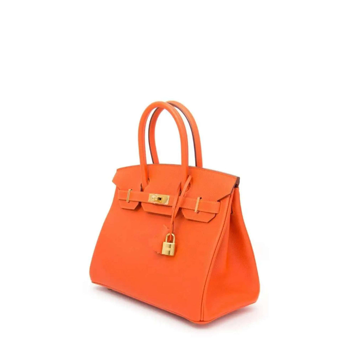 Birkin 30 Togo Handbag