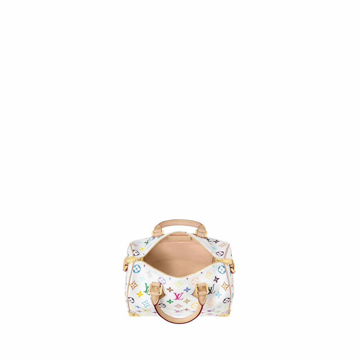 Louis Vuitton Speedy 25 Bag