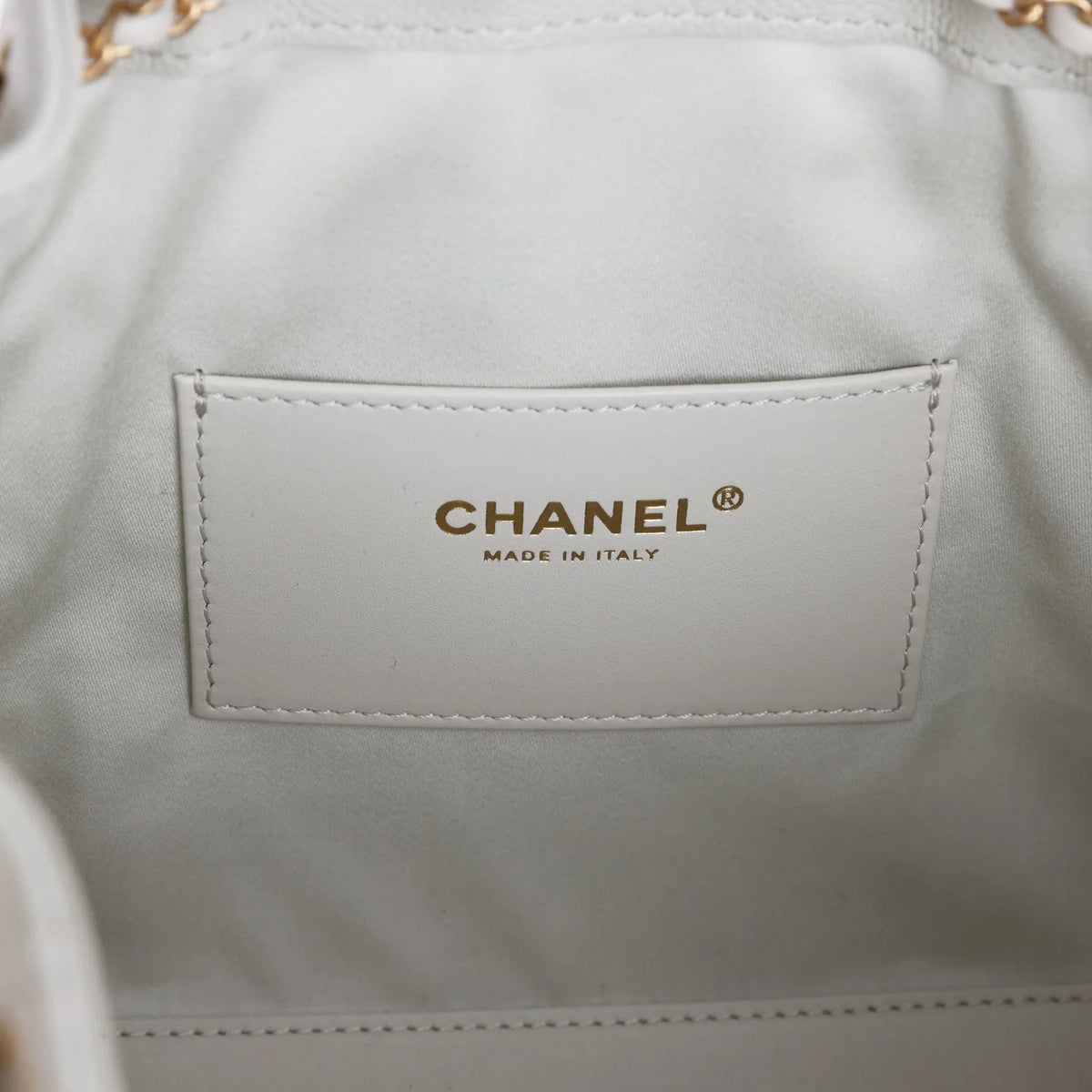 Chanel Small 25 Hobo Bag Light Grey Caviar