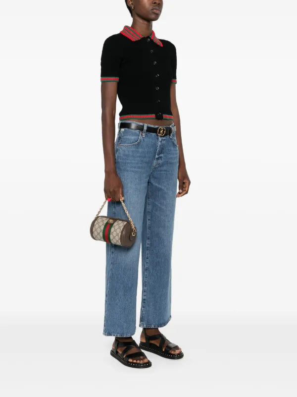 Gucci Mini Ophidia