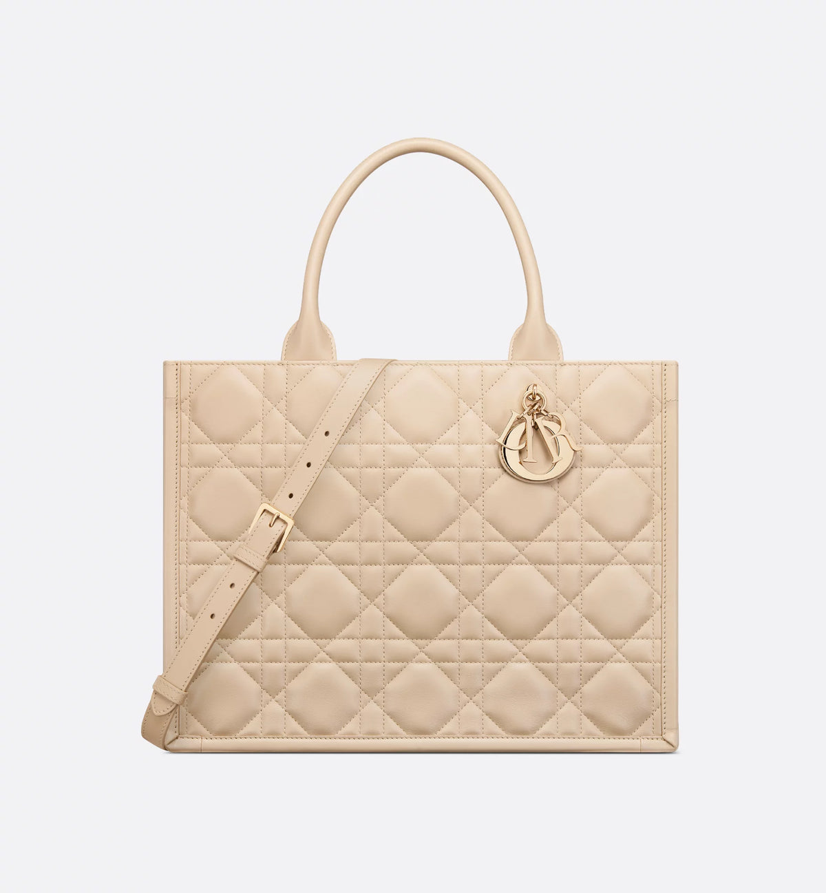 Medium Dior Book Tote