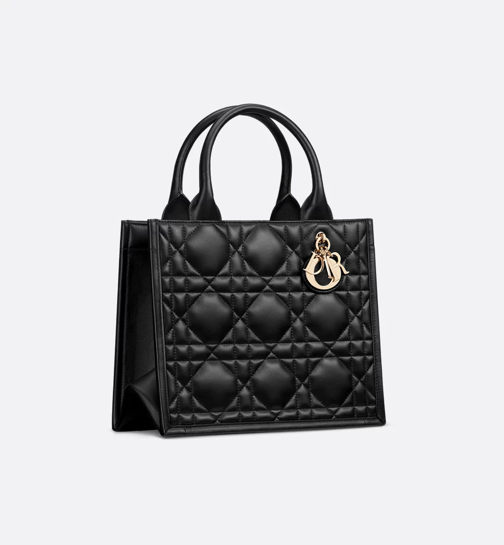 Small Dior Book Tote