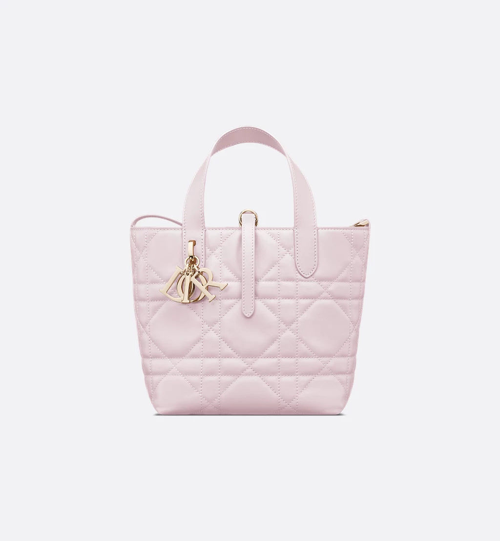 Small Dior Toujours Vertical Tote Bag