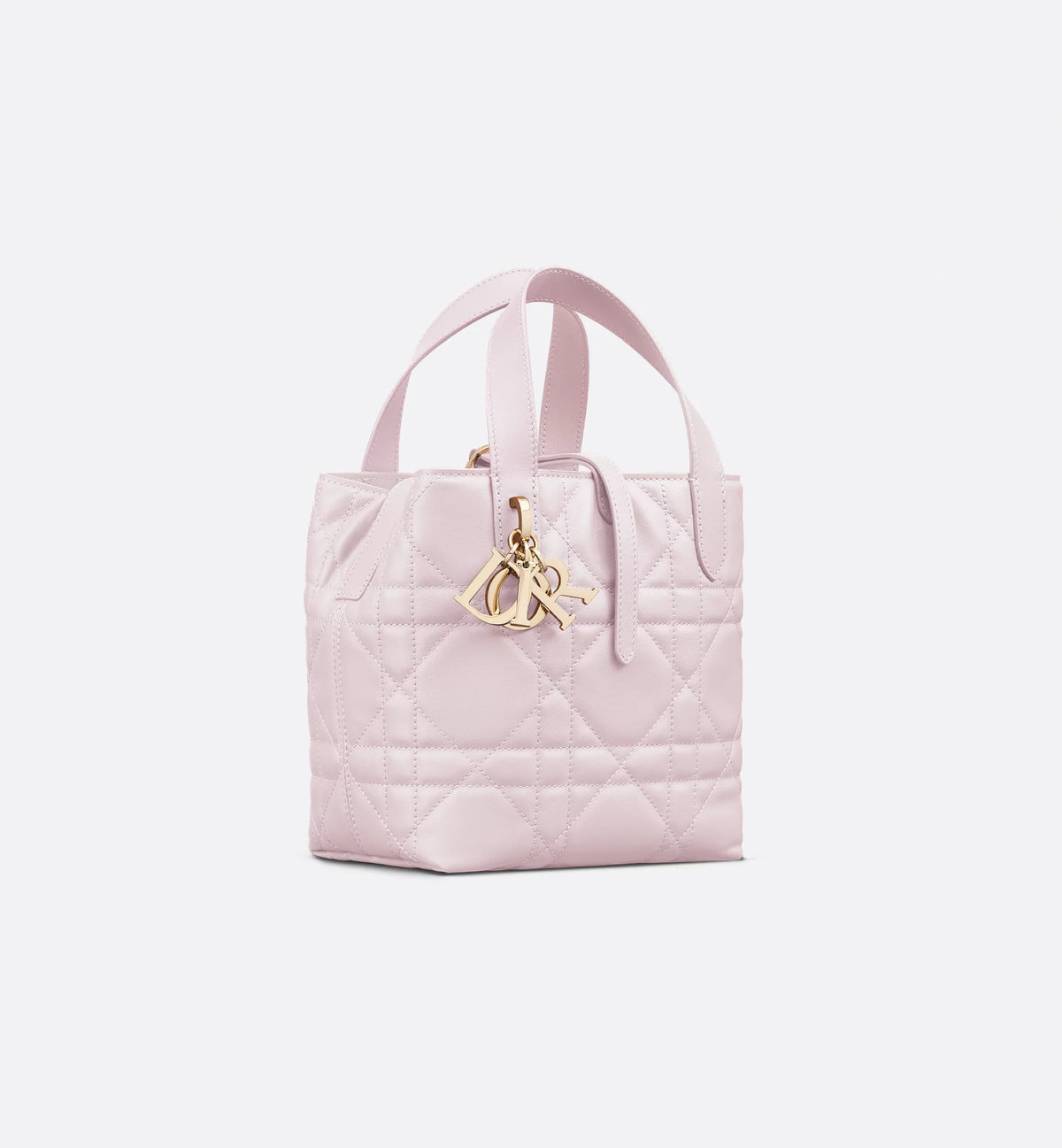 Small Dior Toujours Vertical Tote Bag