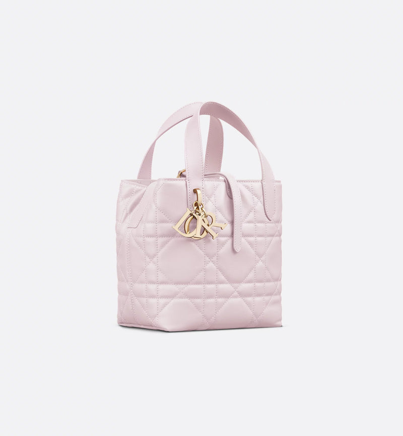 Small Dior Toujours Vertical Tote Bag