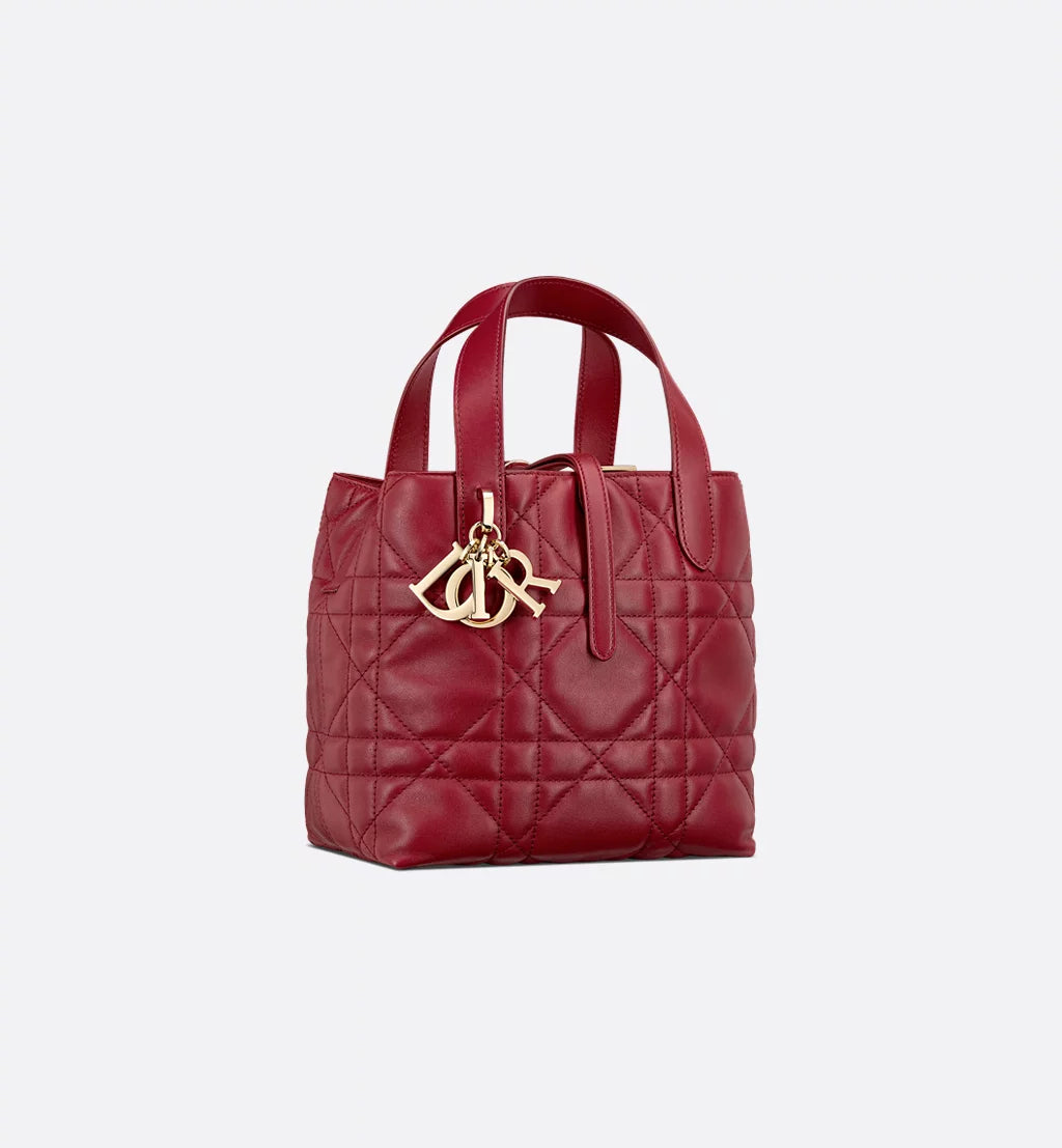 Small Dior Toujours Vertical Tote Bag