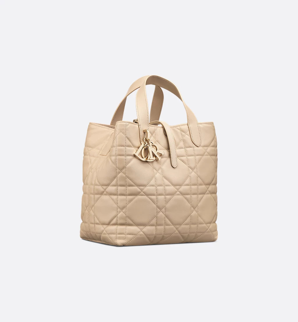 Medium Dior Toujours Vertical Tote Bag