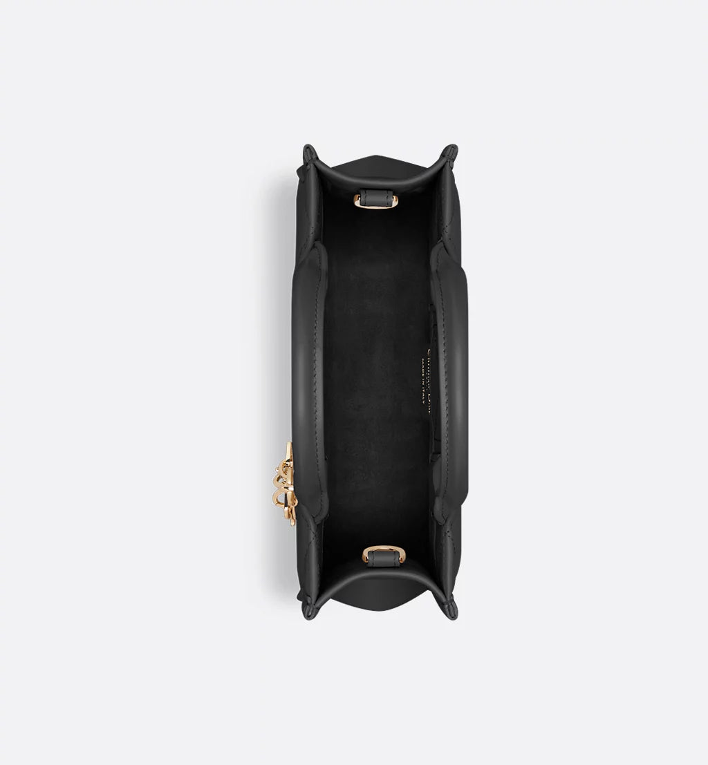 Mini Dior Book Tote