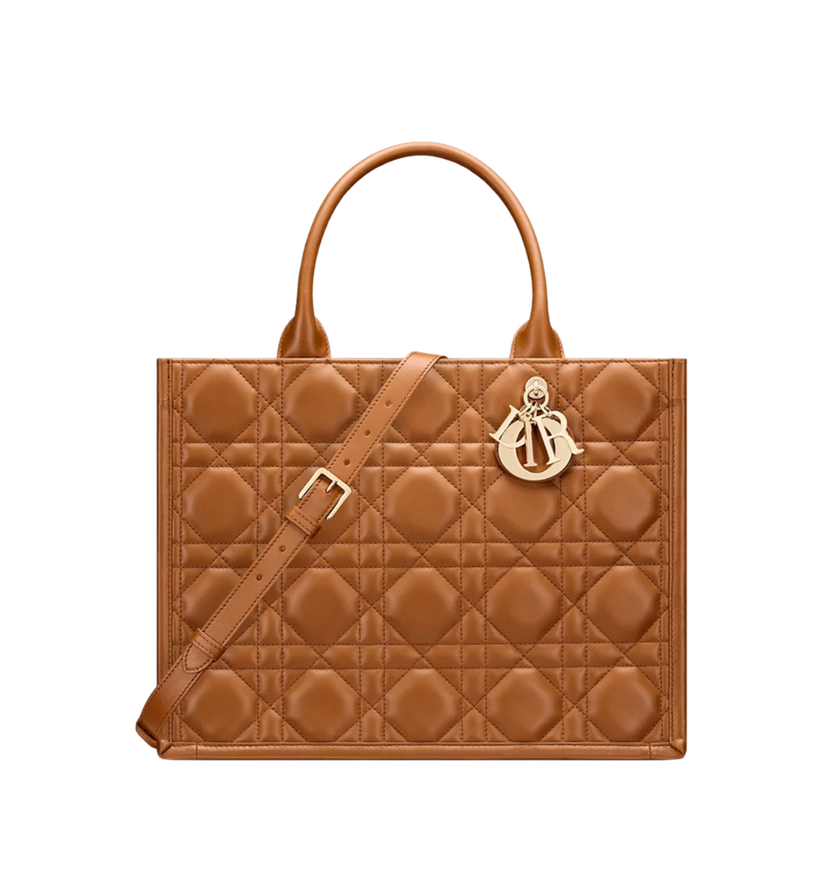 Medium Dior Book Tote