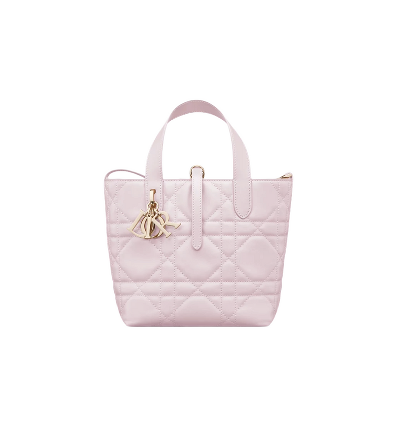 Small Dior Toujours Vertical Tote Bag