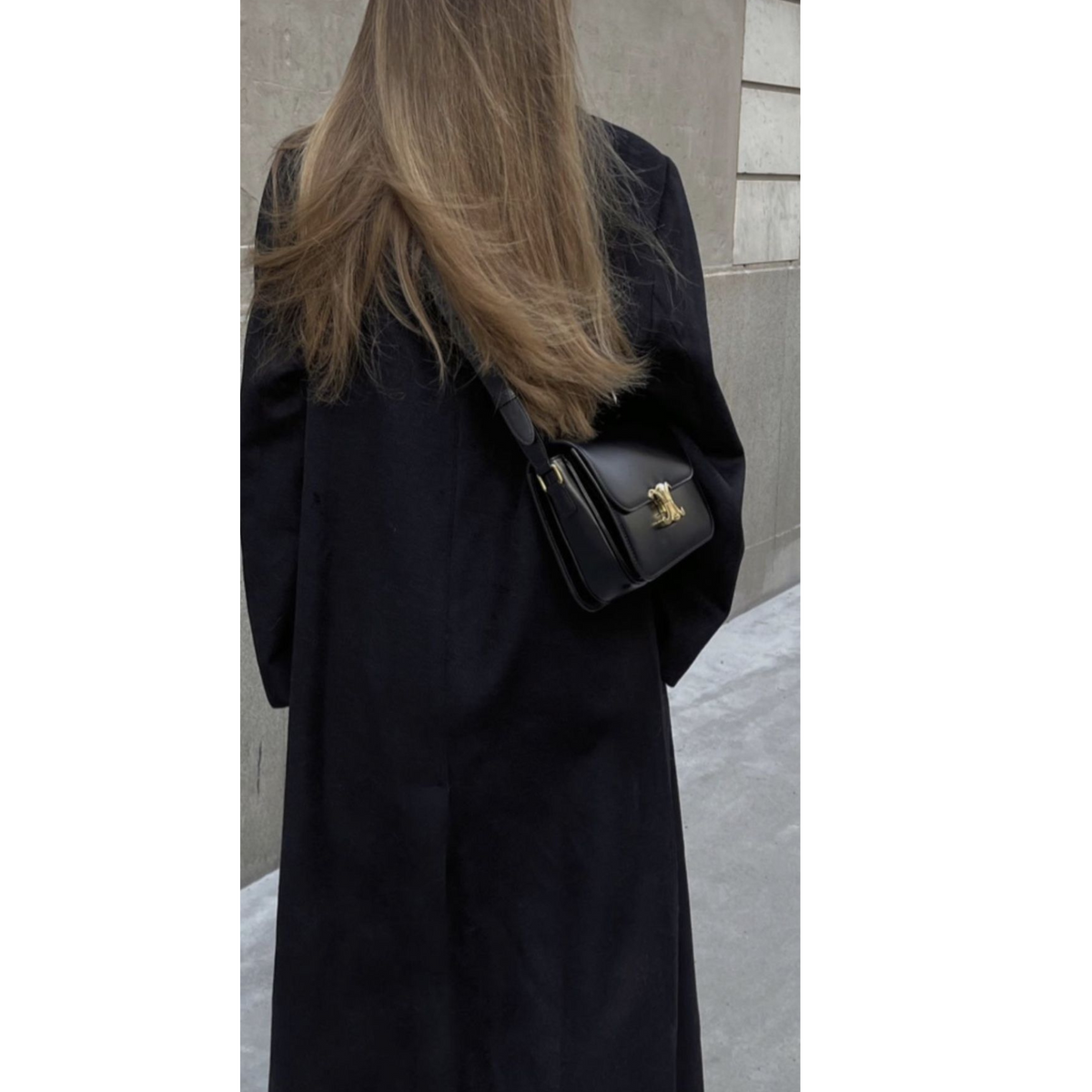 CLASSIC  TRIOMPHE BAG