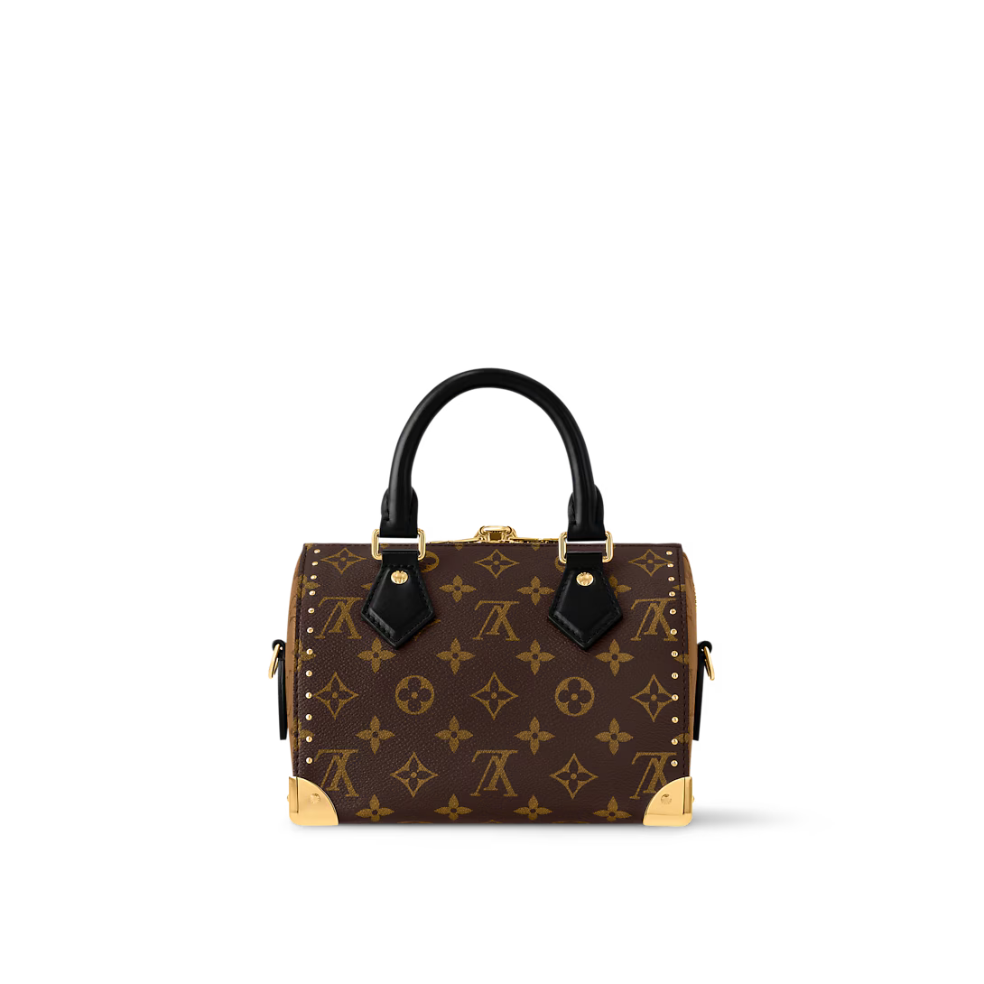 Speedy Trunk 20 – Monogram Canvas