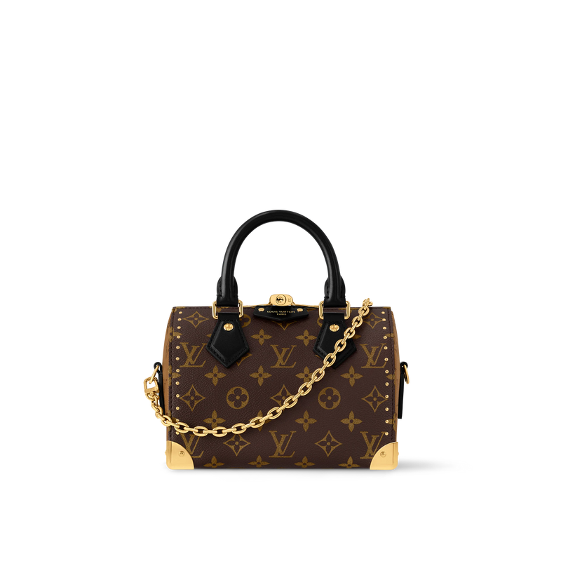 Speedy Trunk 20 – Monogram Canvas